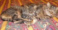 DSC03735.JPG